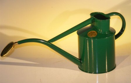 Green Metal Watering Can - 2 Pints